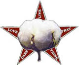 Cotton Boll
